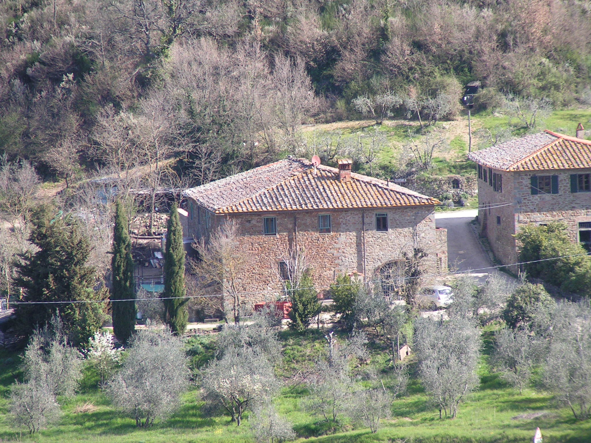 AZIENDA AGRICOLA CASTELLACCIO DI LORENZO BOTTAI E FEDERICO LOZZI SOCIETA' AGRICOLA — foto 2
